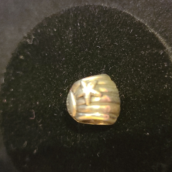 Pandora shell authentic ALE 925 silver - Picture 1 of 4
